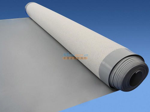 煙臺地區(qū)防水全解析 材料選擇、堵漏技術與工程實踐