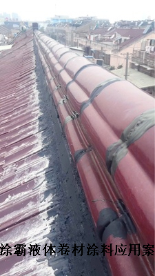 江蘇徐州液體卷材價格與水池防水材料應(yīng)用解析